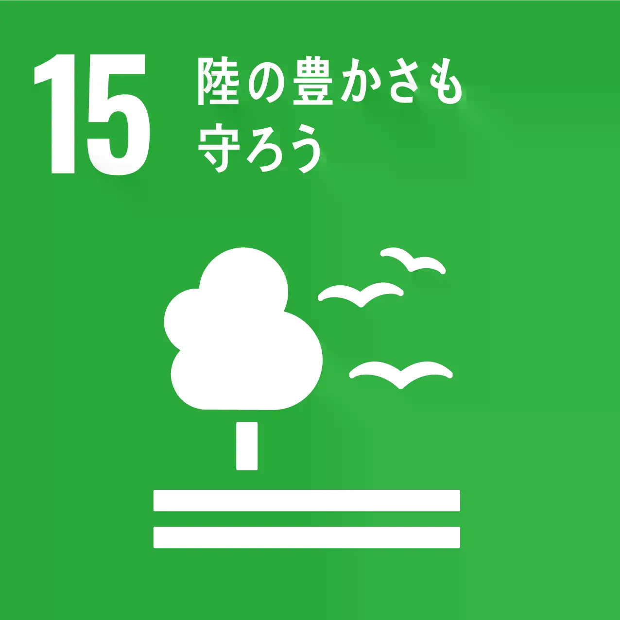 SDGs 15 ̖L낤